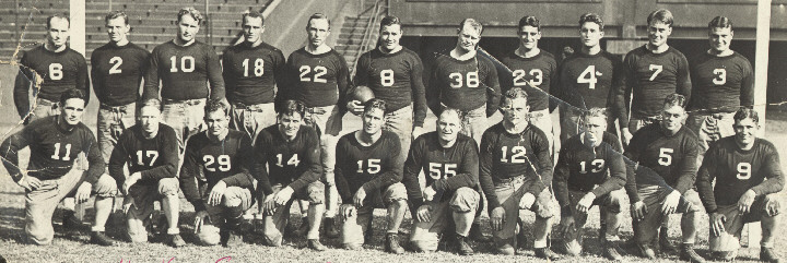 a giants 1931 02.jpg (97136 bytes)